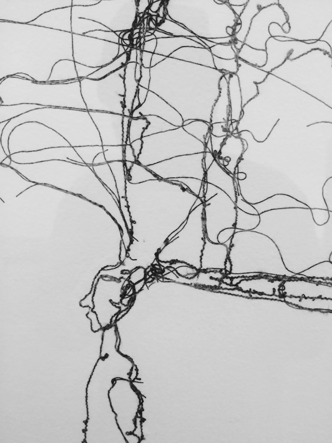 A close up to see that they are strings. 