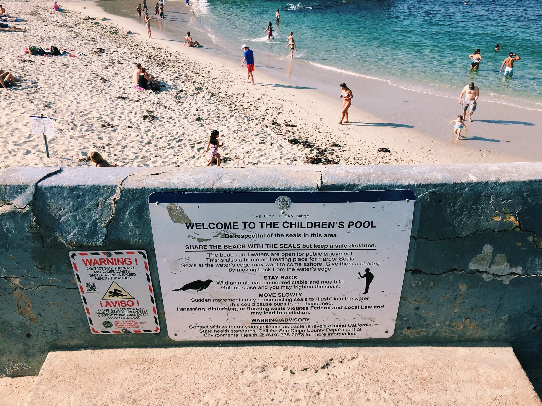 The Children's Pool, for a while humans weren't allowed to swim here. I guess fuck them sea dogs and we swimming in here now huh? Can't we co-exist?!