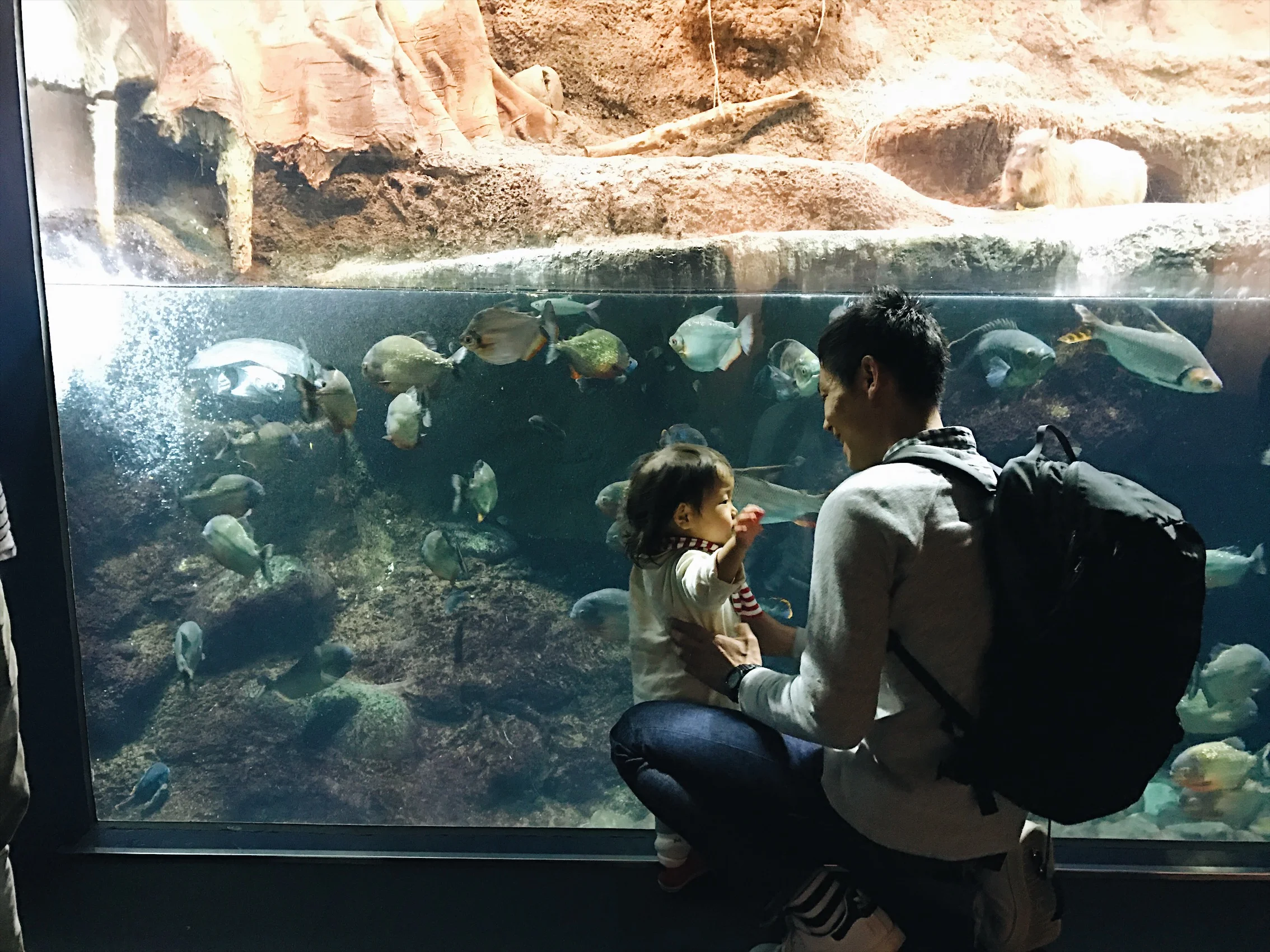 Father daughter. 