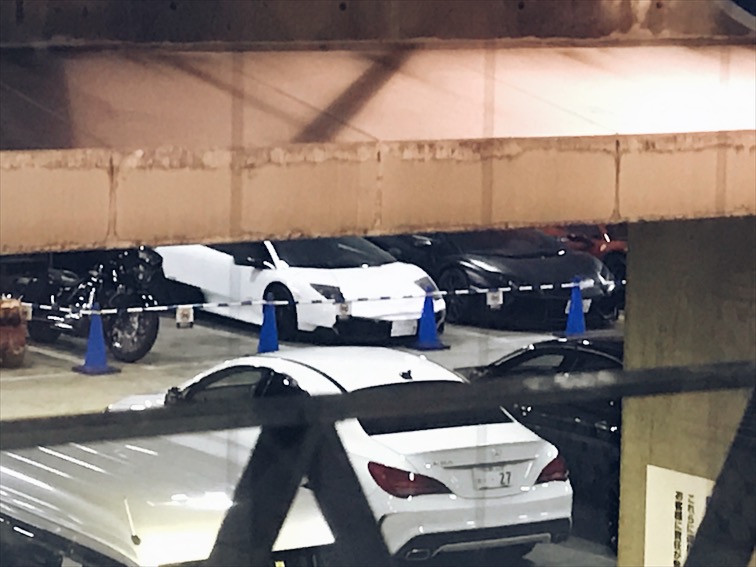 I tried my best to take pictures of these exotics without getting caught. 