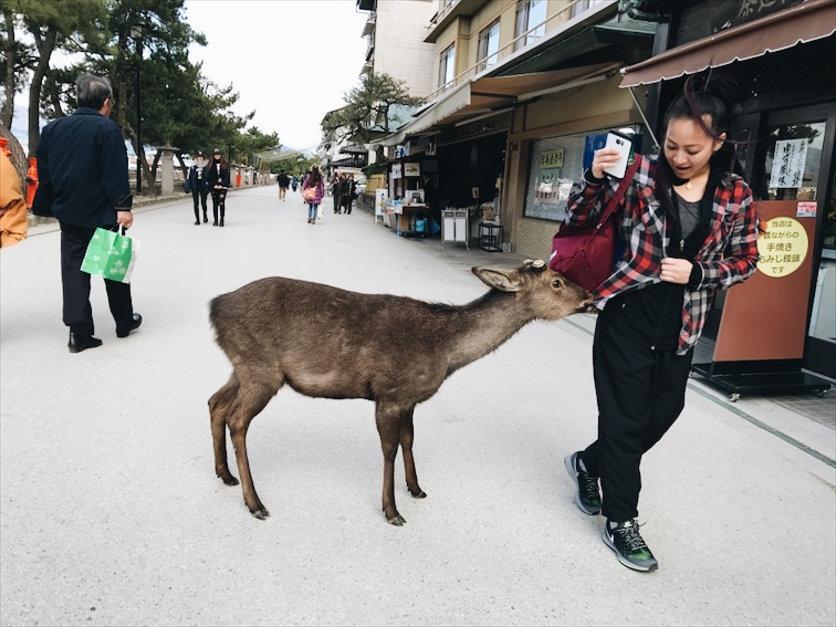 Yeah eat that shirt deer. 