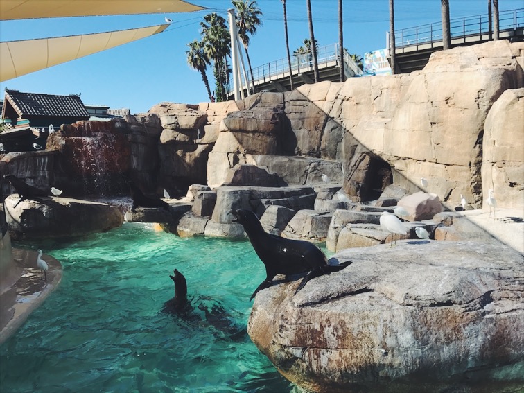 All I could think about was the movie Finding Dory, "Off, off, off." Hahaha. These guys were comical! 