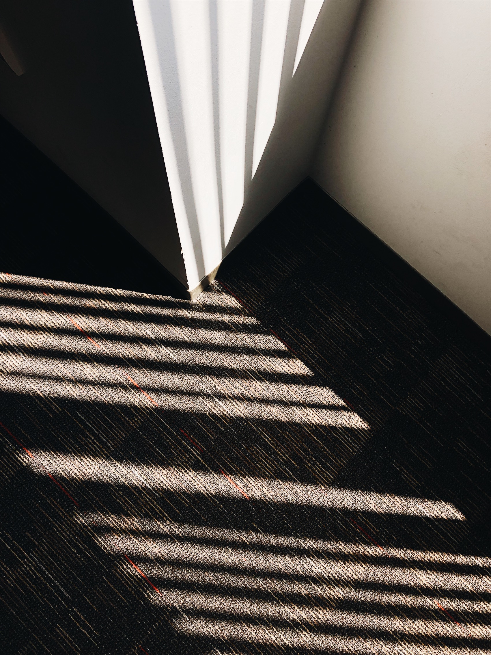 869D2B17-8A38-4509-9D57-A86E51382BDB.jpeg