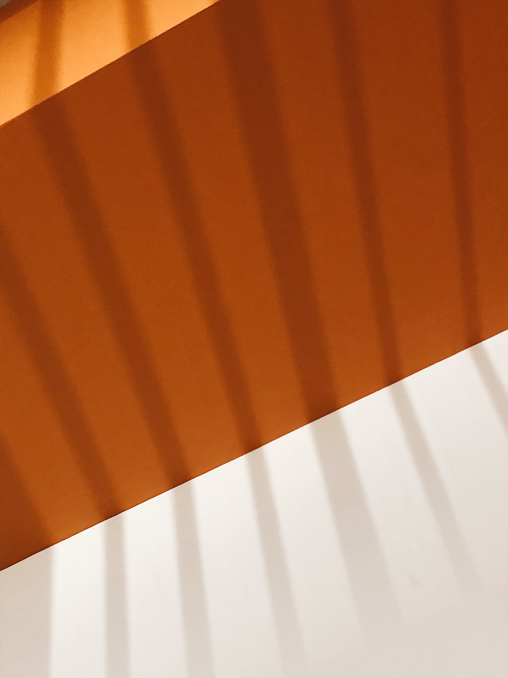 1DEFBB00-755B-4144-823F-62E81A167BA4.jpeg