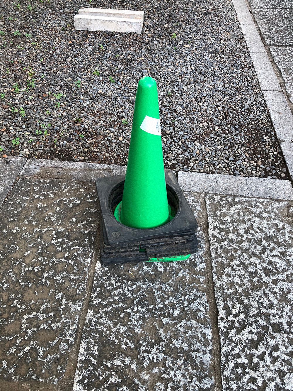 Cone Photo