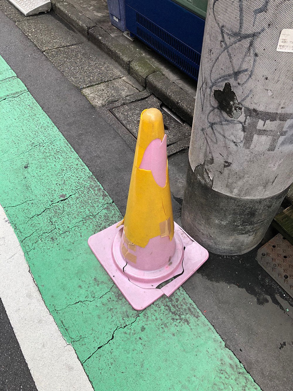 Cone Photo