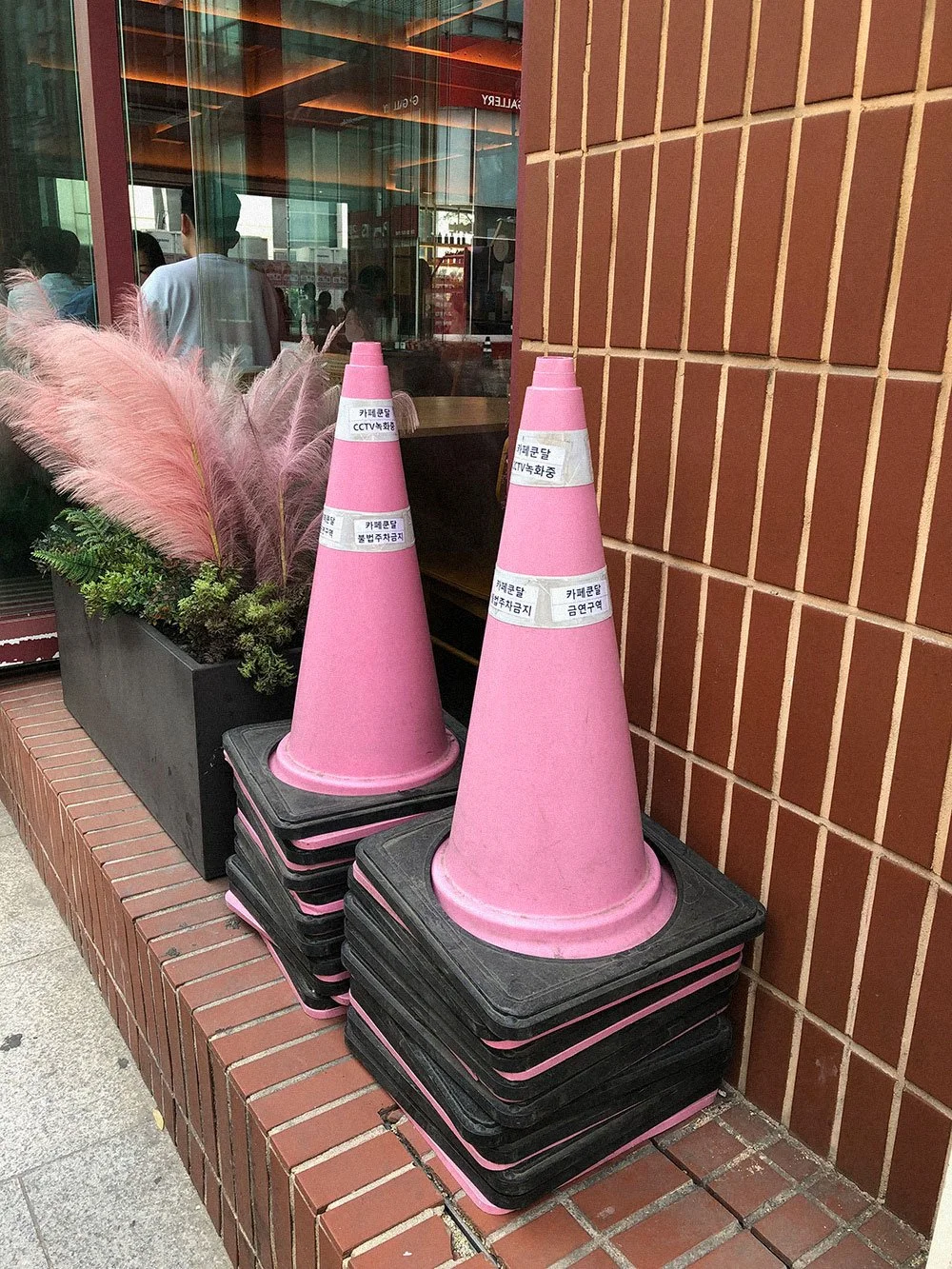 Cone Photo