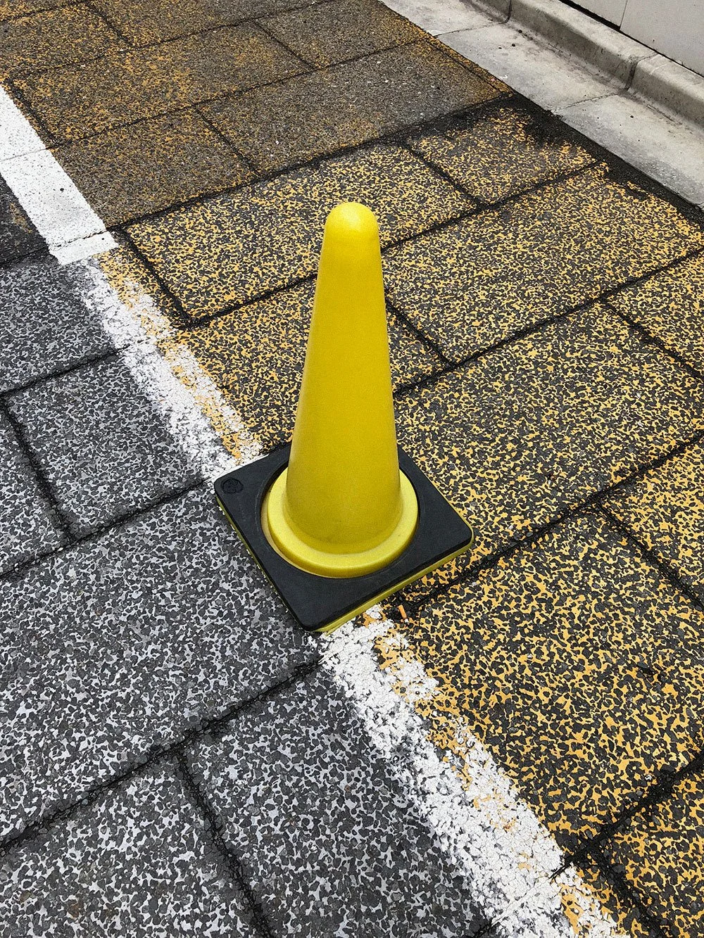 Cone Photo