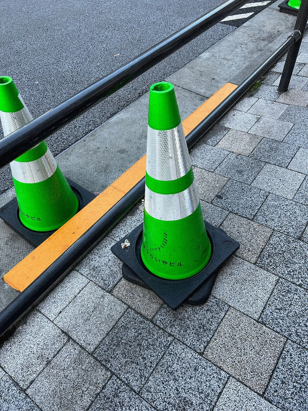 Cone Photo