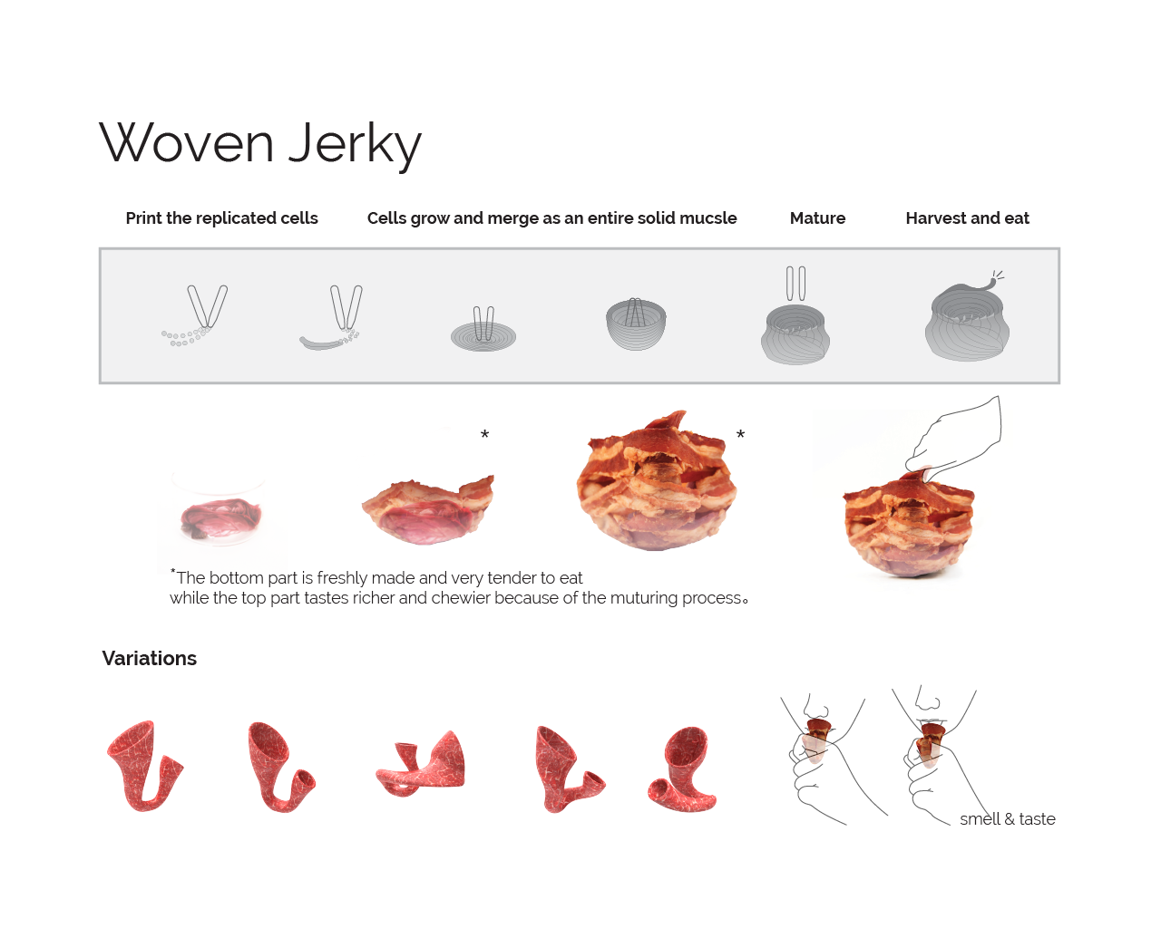protein fantasy for web-02.png