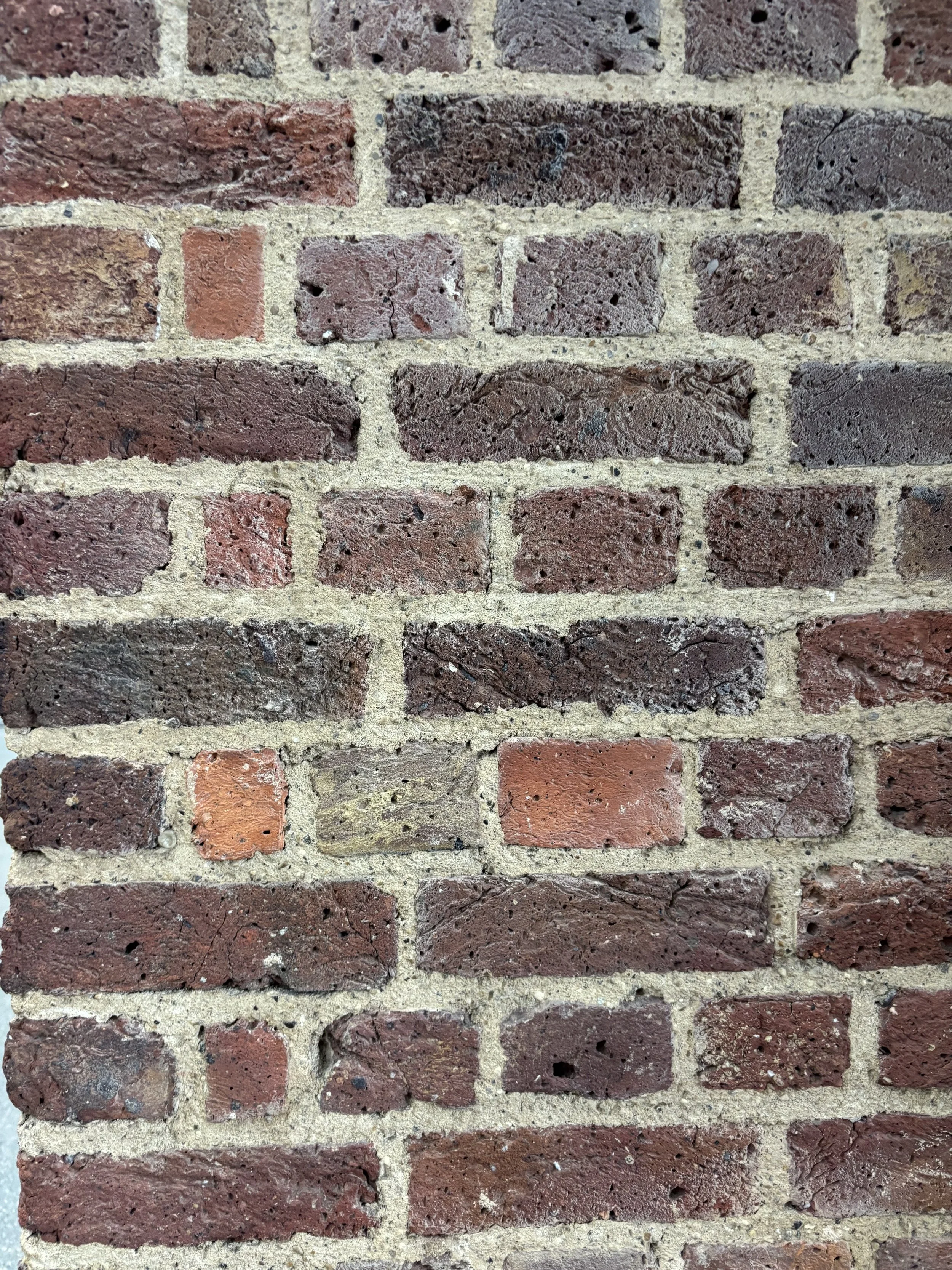IMG_5925.JPG