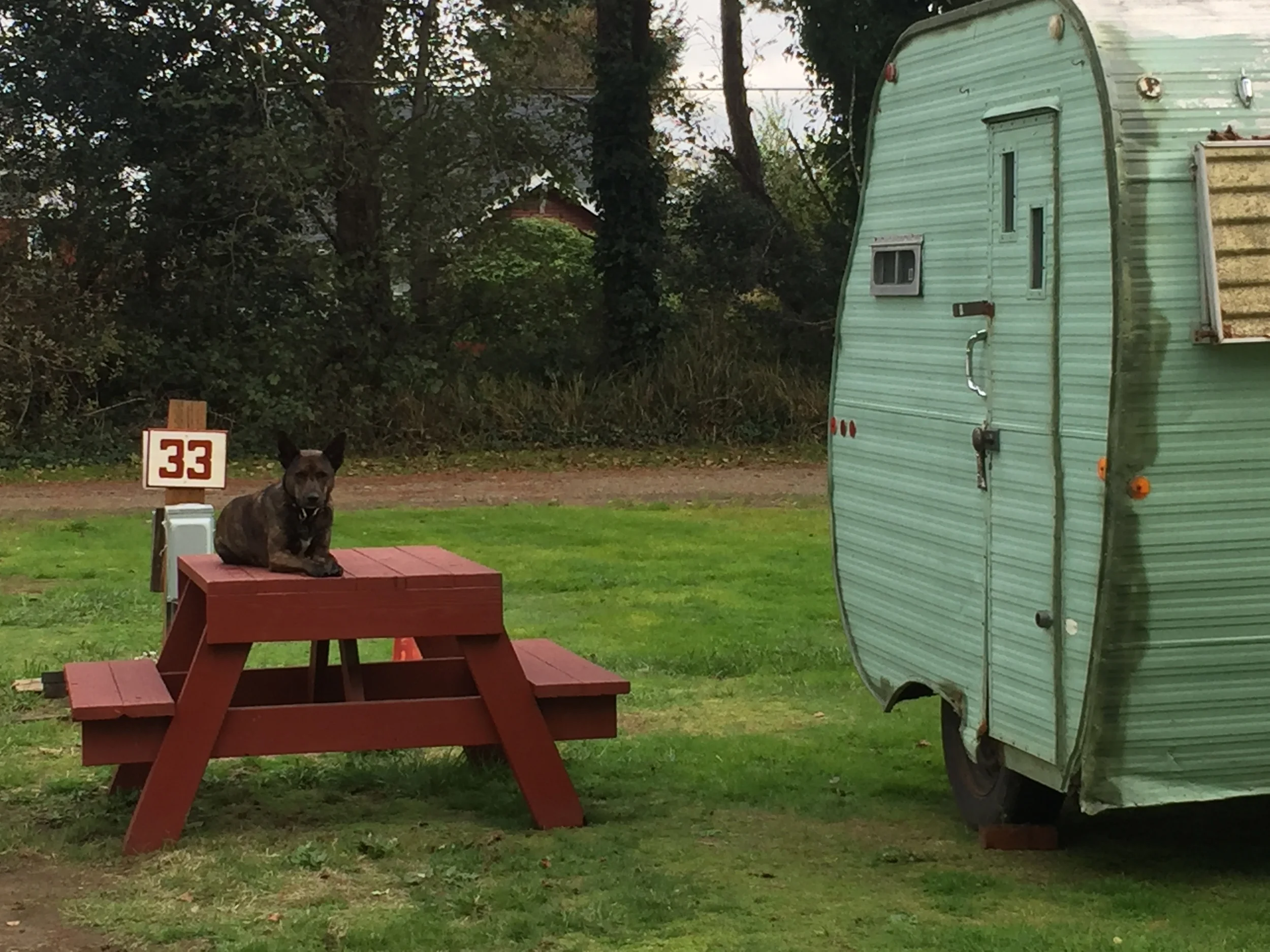 Lady Bucket, queen of the trailer park.