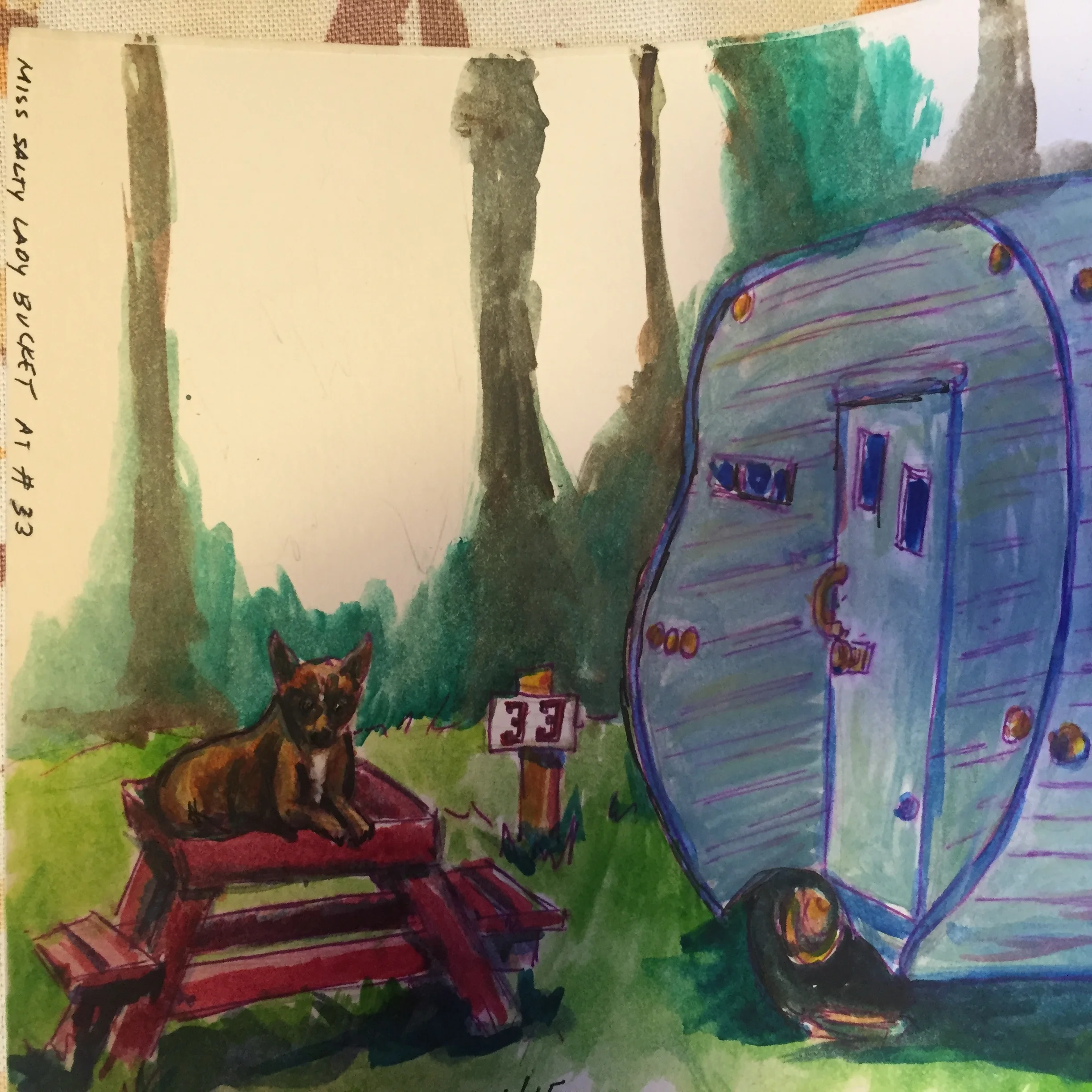 A quick sketch of life at The Sou'wester.