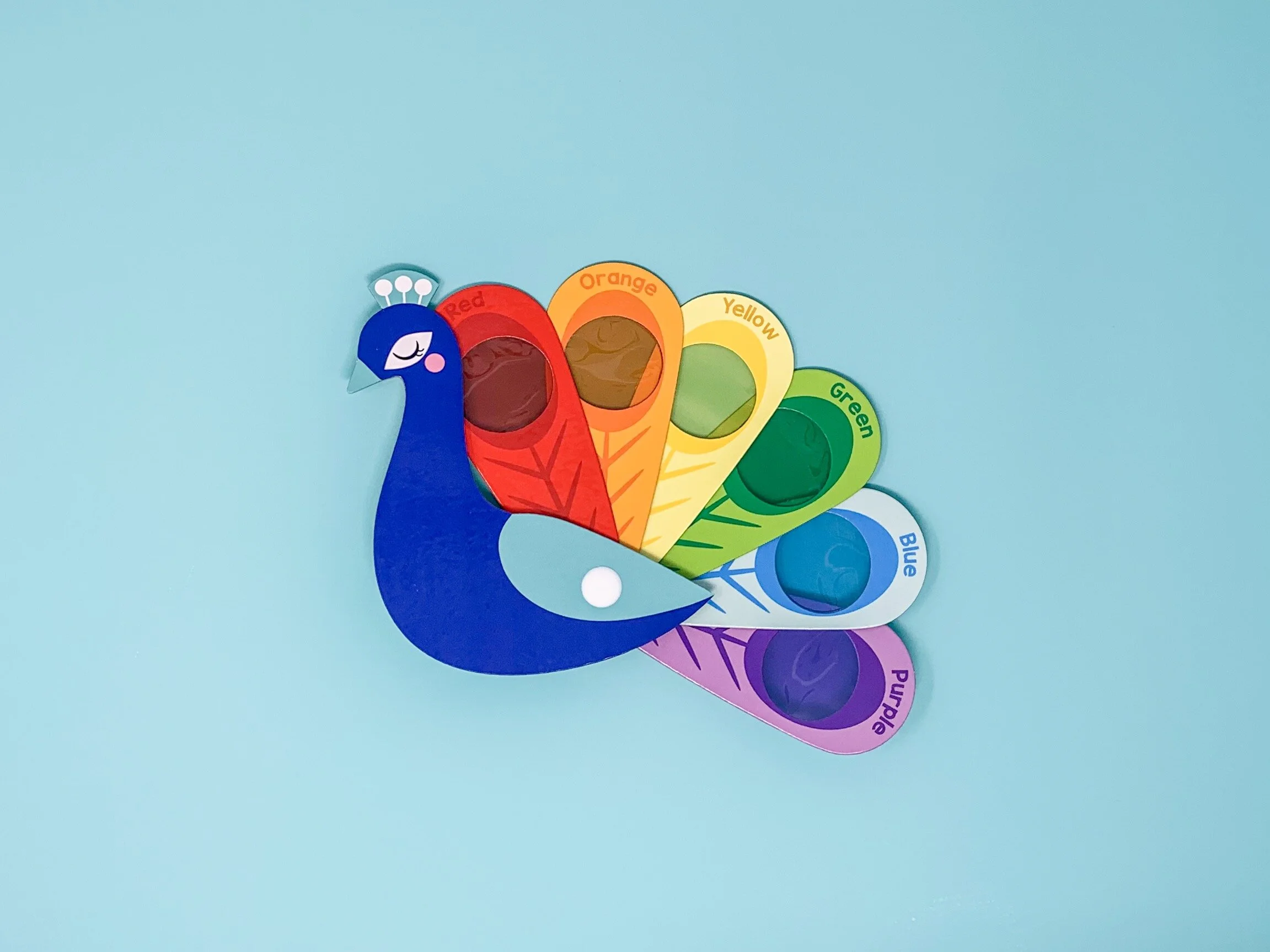 Color theory toy for kid’s education 