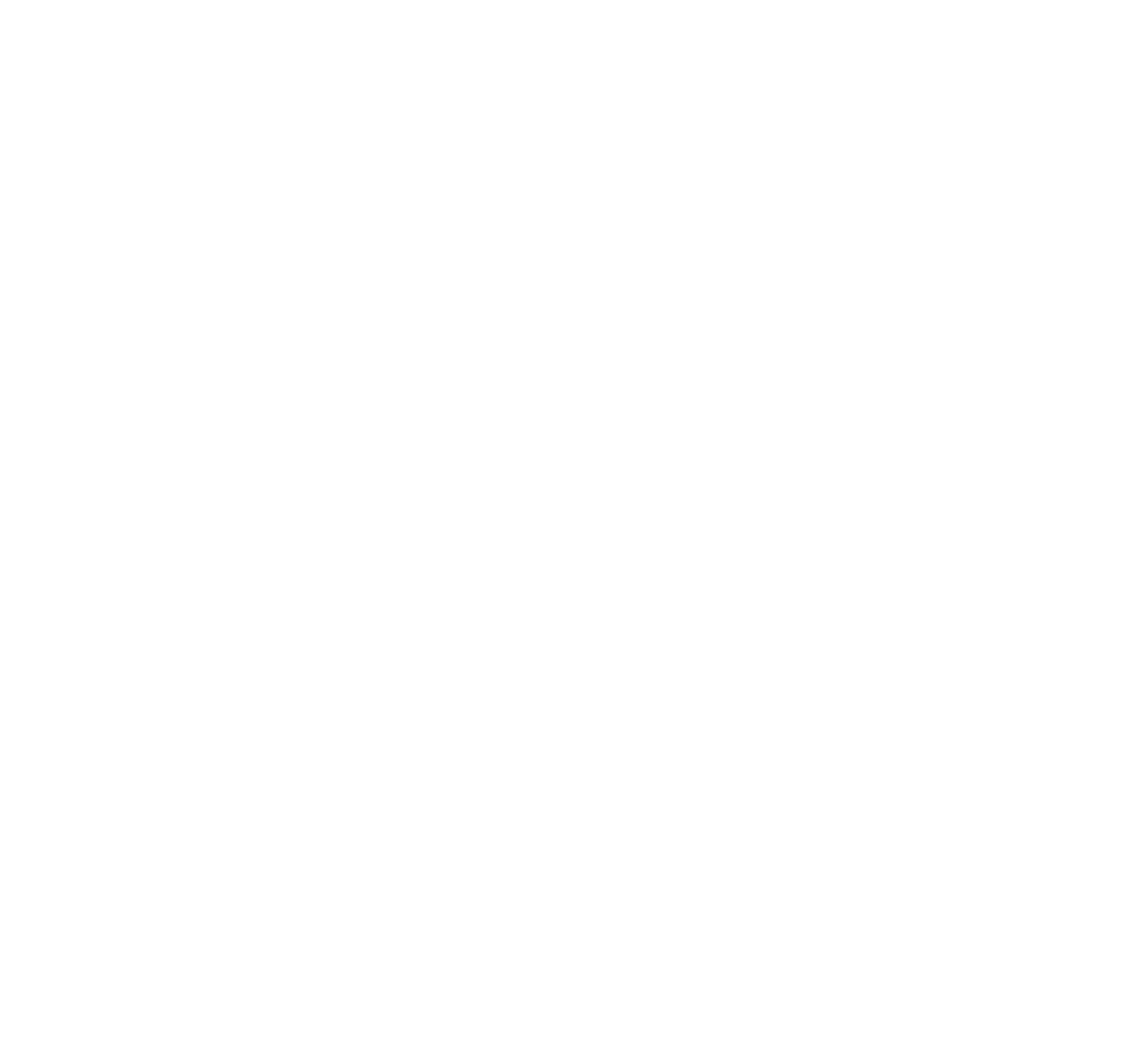 iDenver Repairs