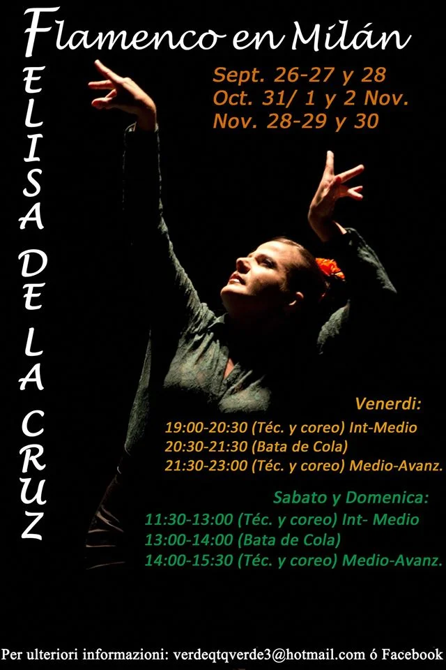 FlamencoFlyer.jpg