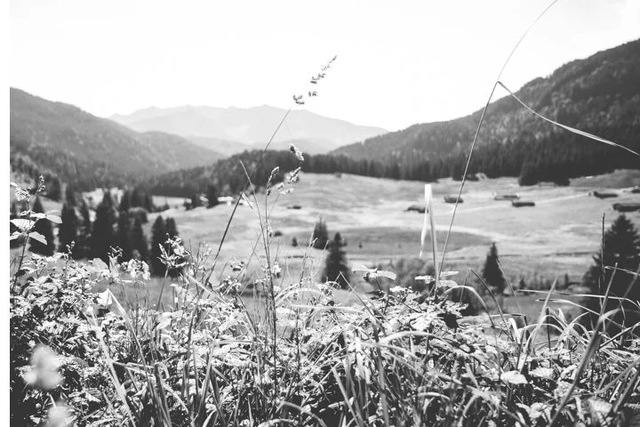 berge.jpg