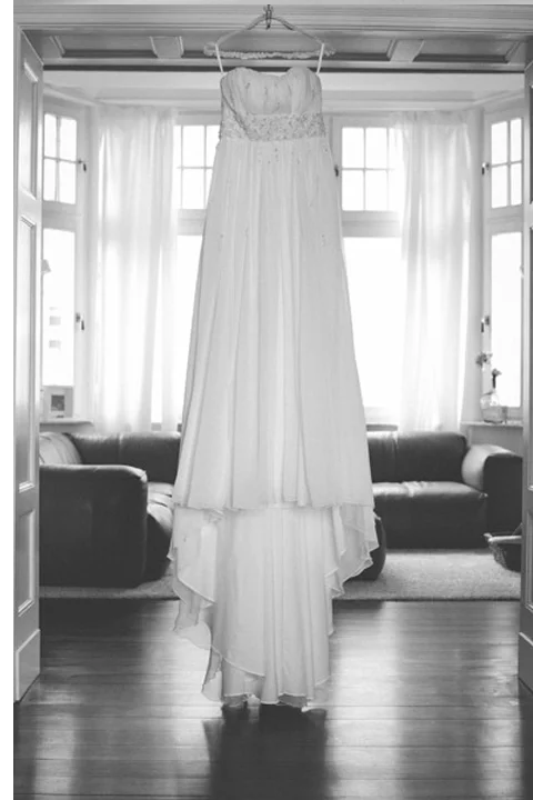 DRESsS.jpg
