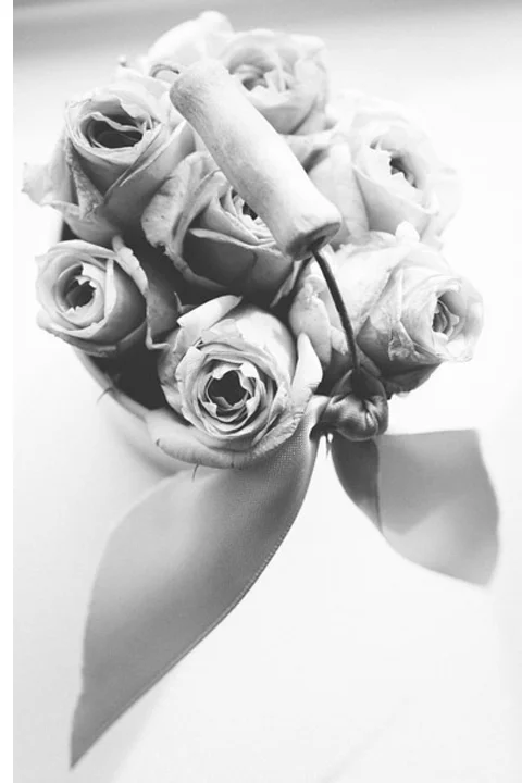 roses.jpg