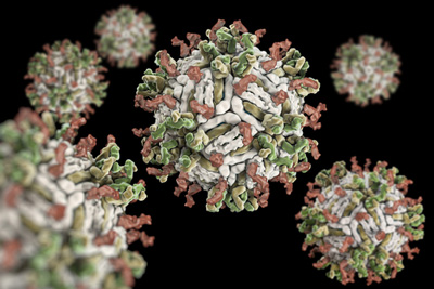 Sanofi-Pasteur's Dengvaxia has been approved for the prevention of the four subtypes of dengue in children over 9 years old and adults under 45 years old. Photo Credit: European Pharmaceutical Review