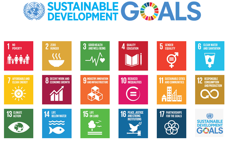 The Sustainable Development Goals. Source: United Nations System Staff College