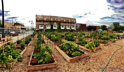 Source: Communitygardens.org