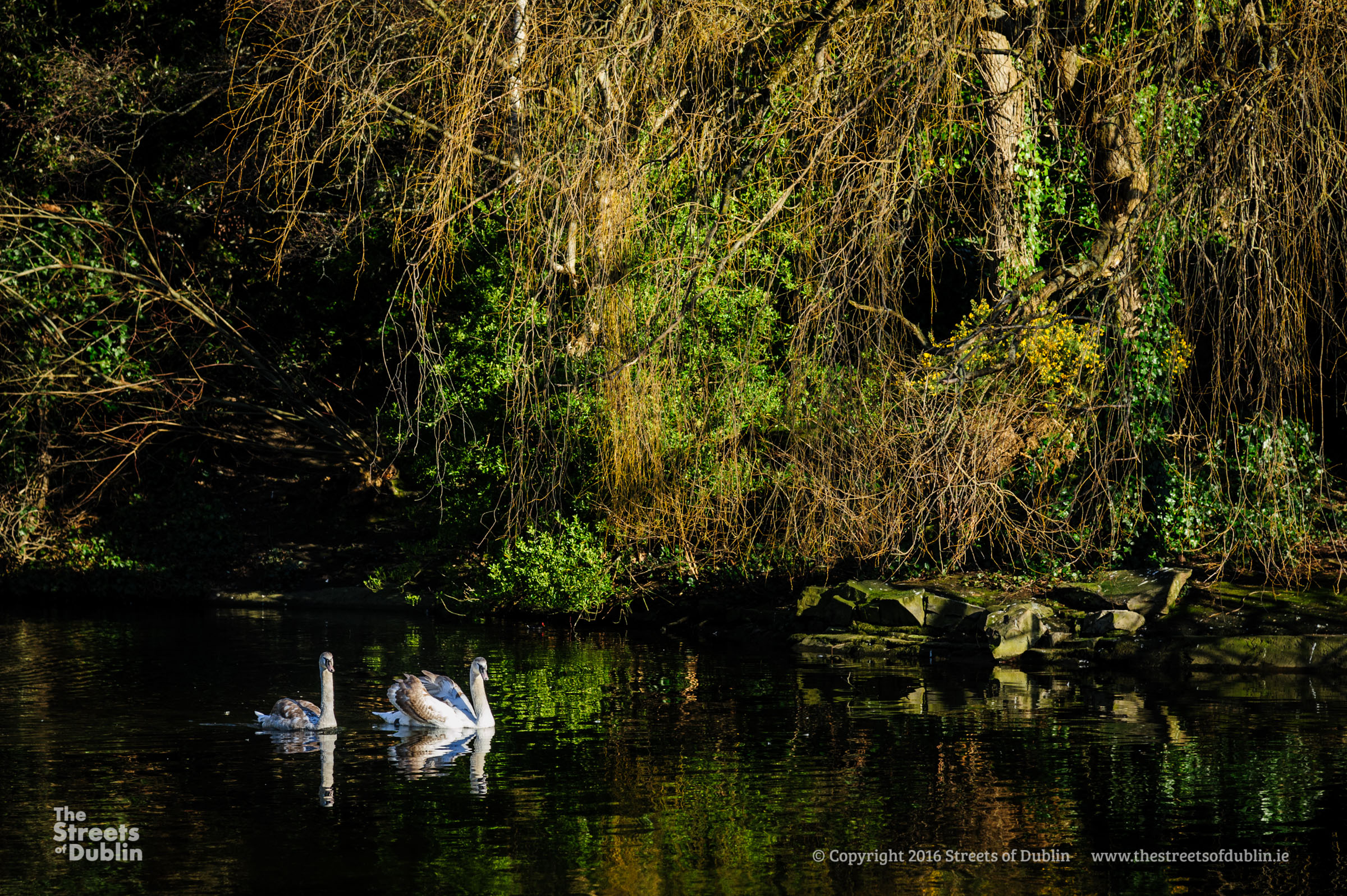 A Spring Day in Stephen's Green