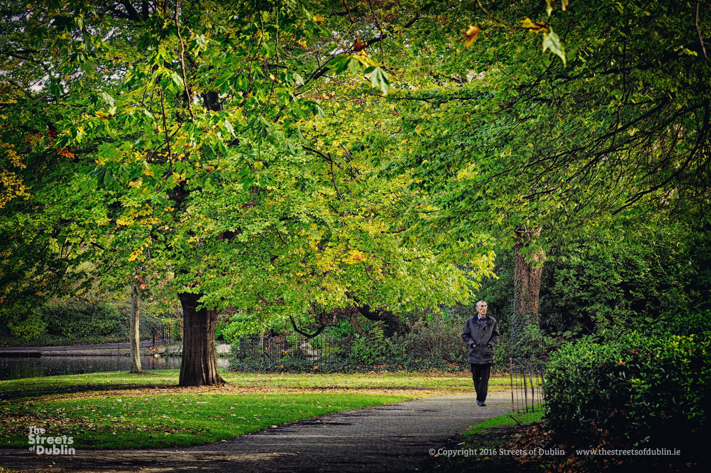 Streets-of-Dublin-Photo--64.jpg