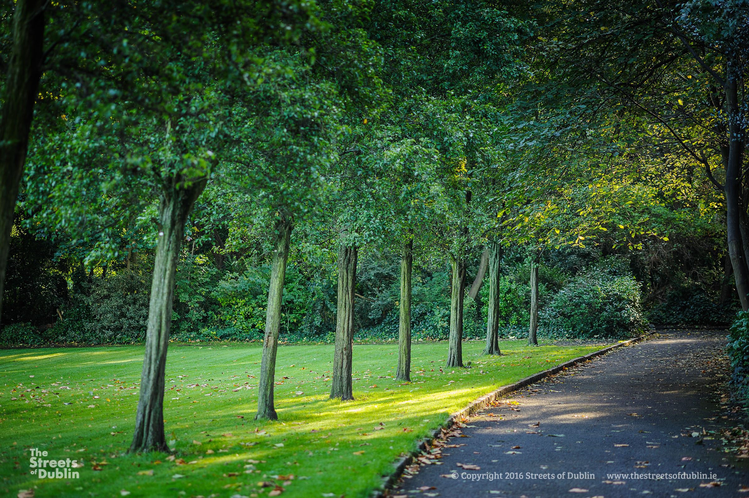 Streets-of-Dublin-Photo--91.jpg
