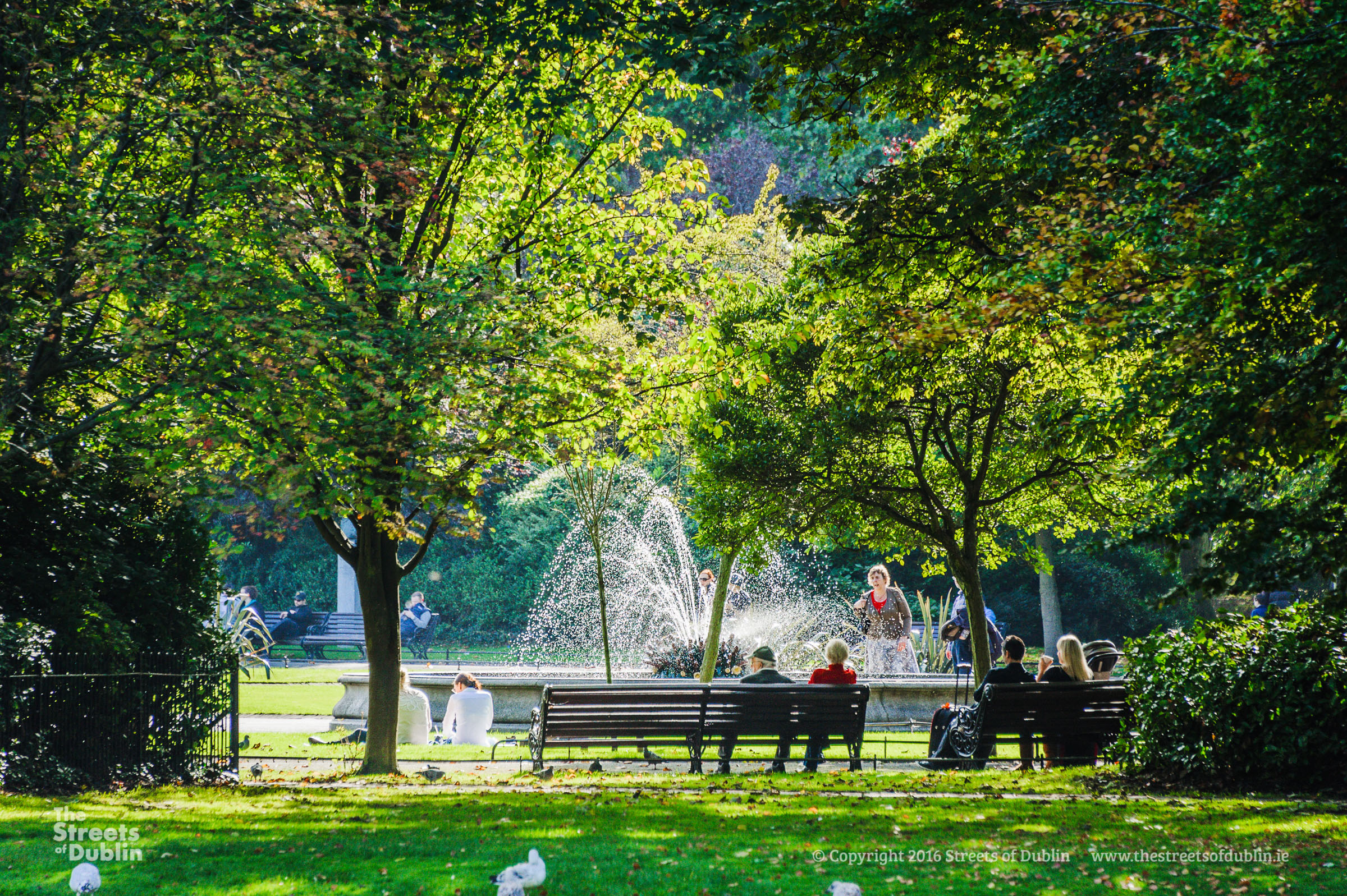 Park Benches