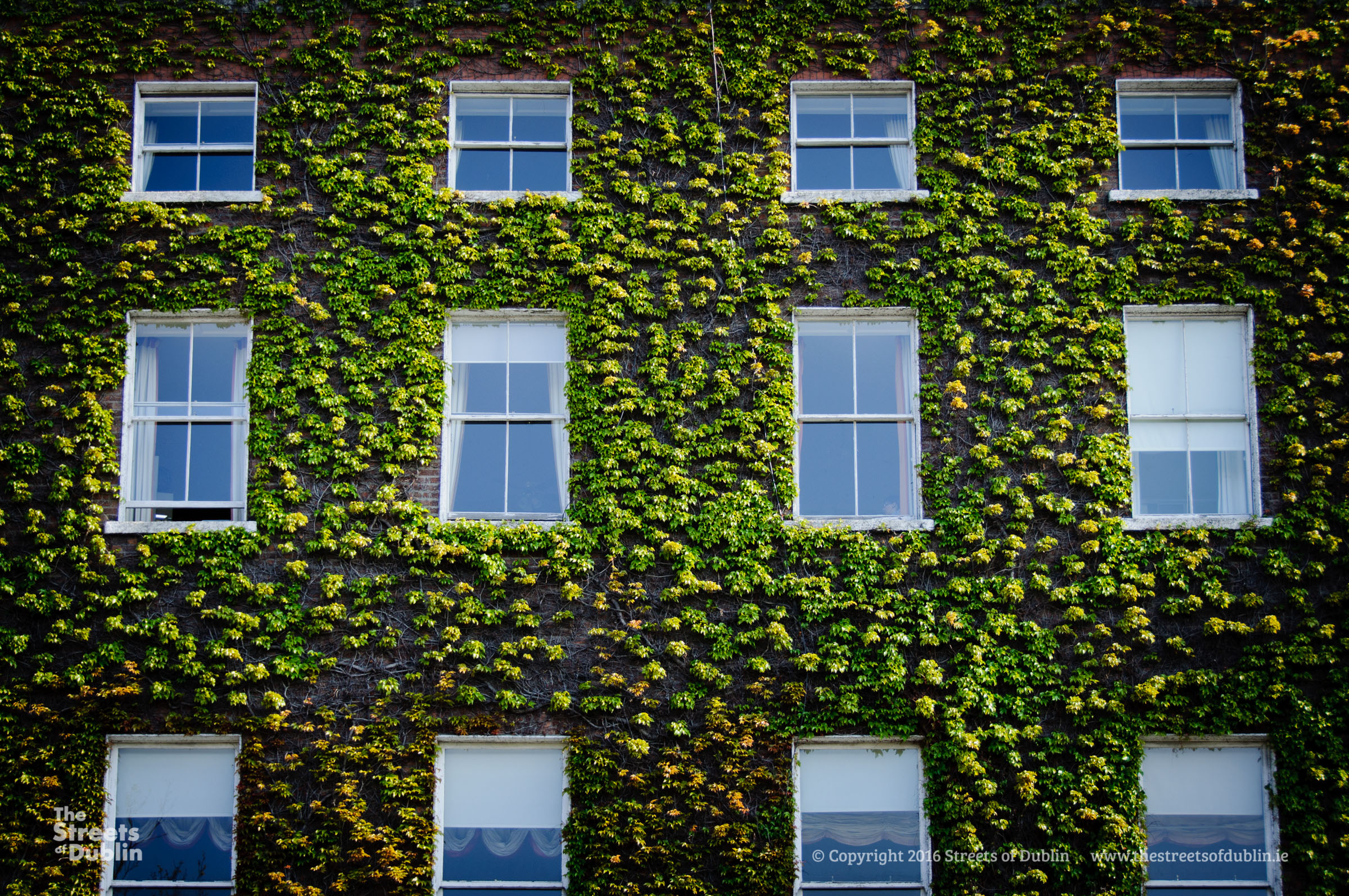 An old georgian building on Stephen's Green in Dublin, covered w