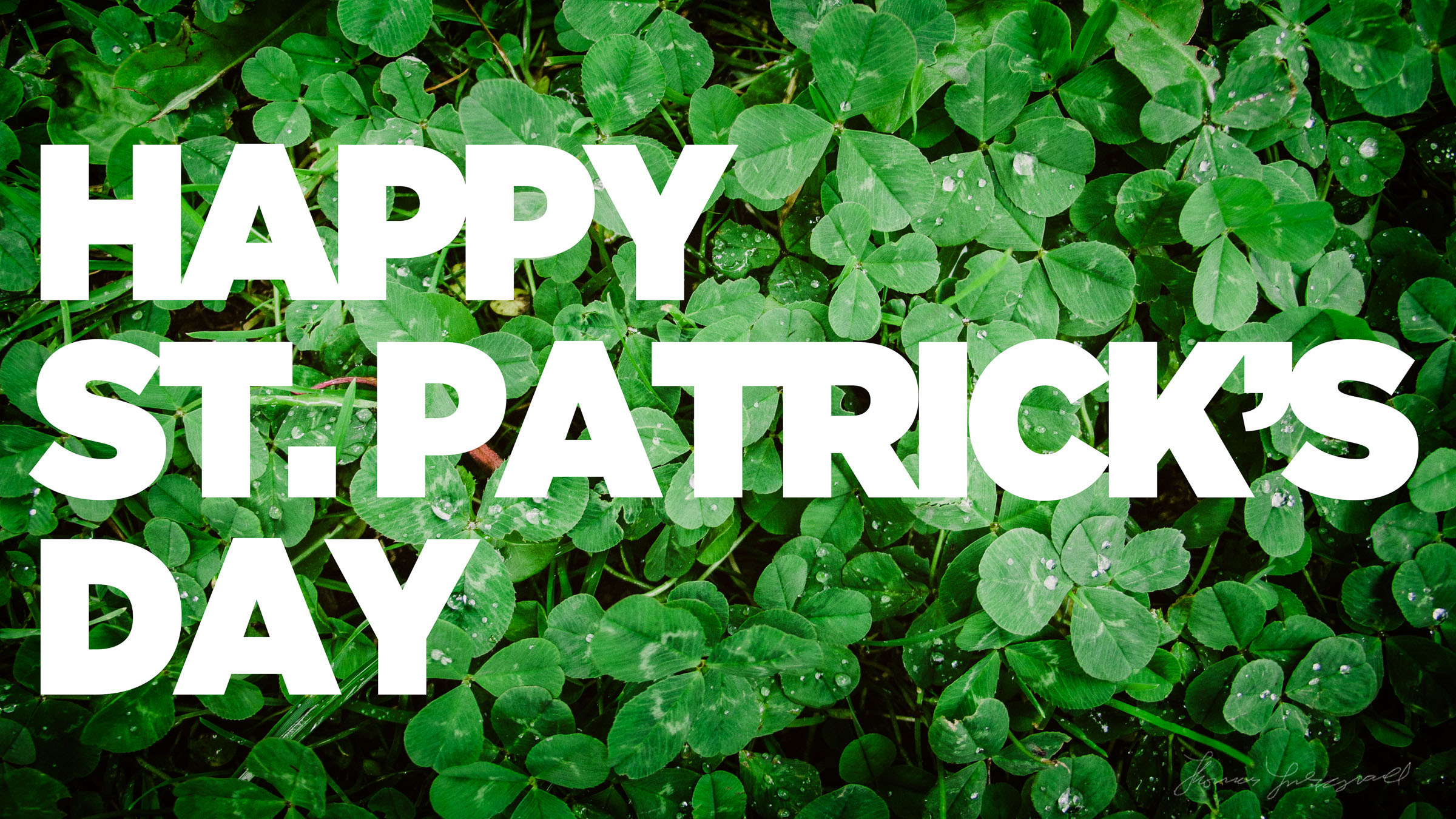 Happy St. Patrick's Day