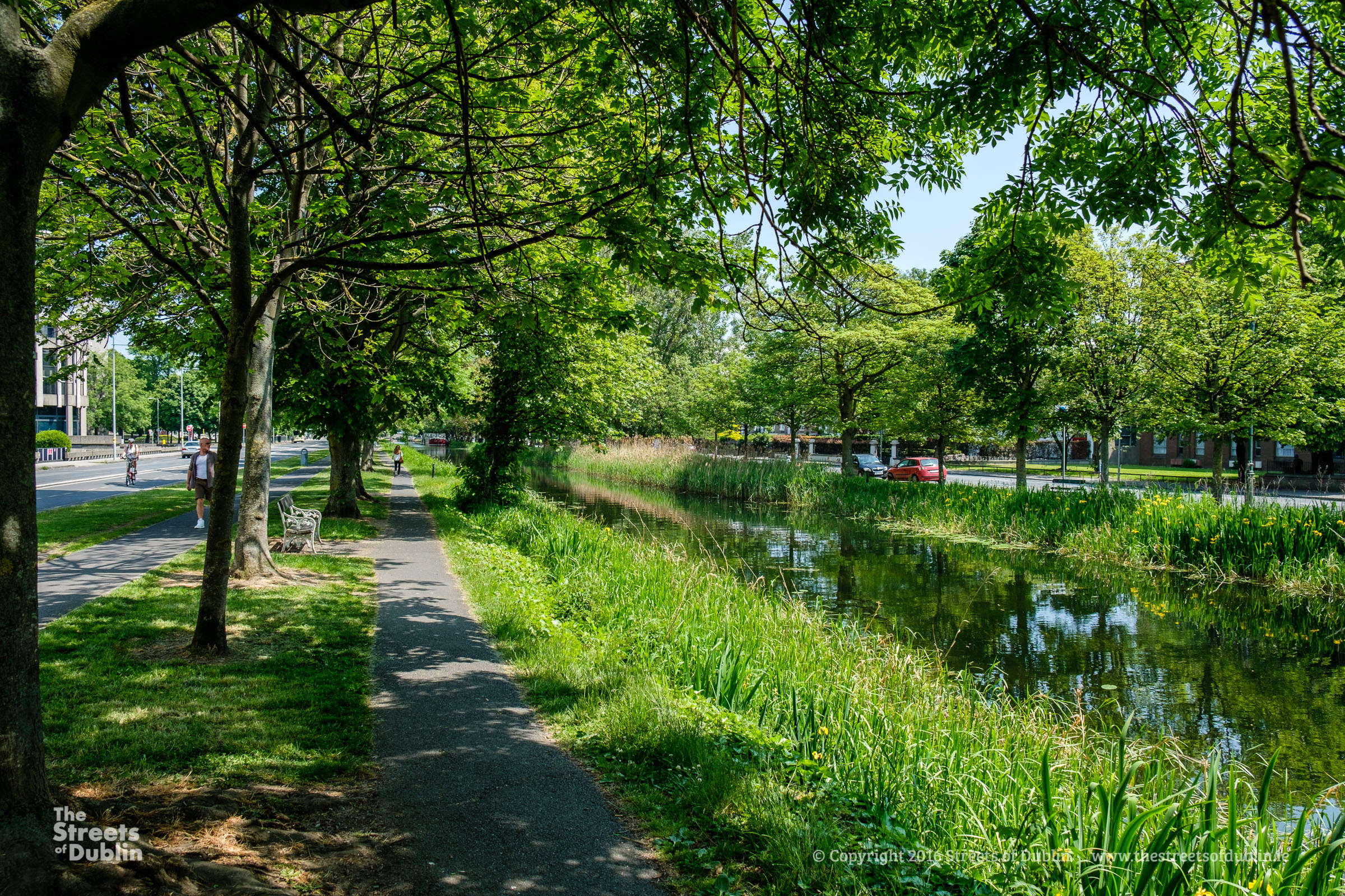 Path by the Canal