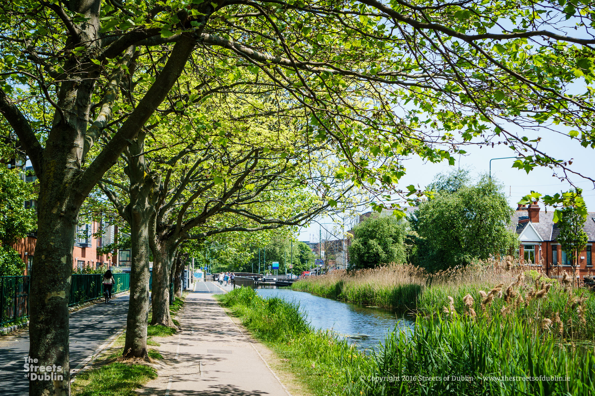 Pathway by the Canal