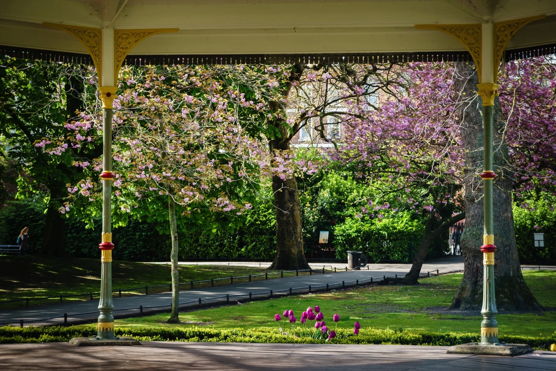 Spring flowers around the Gazebo in Stephen's Green