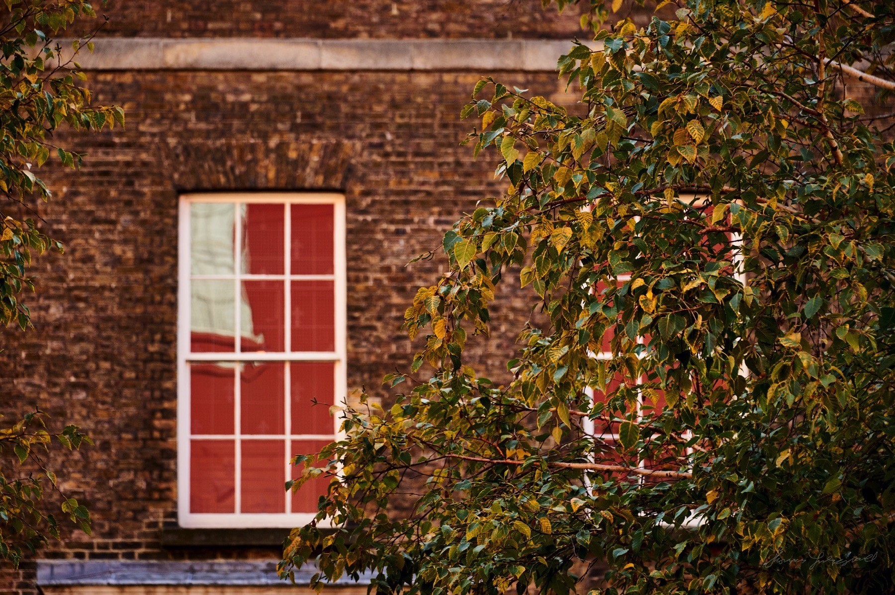 Streets-of-dublin-best-of-2016-026.jpg