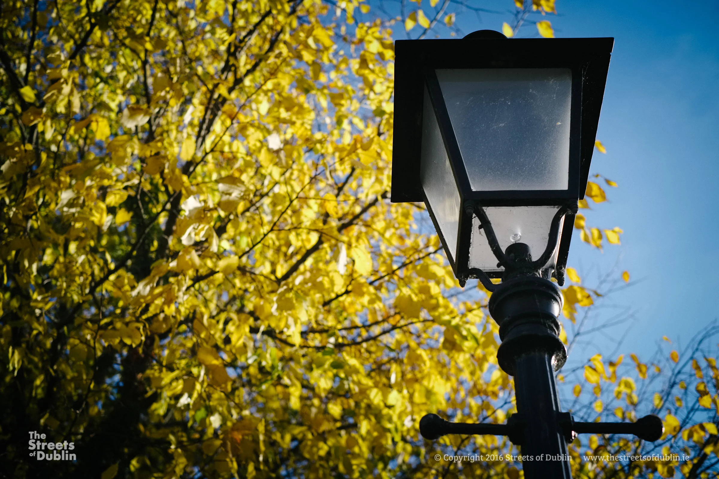 Streets-of-Dublin-Photo-2-140.jpg