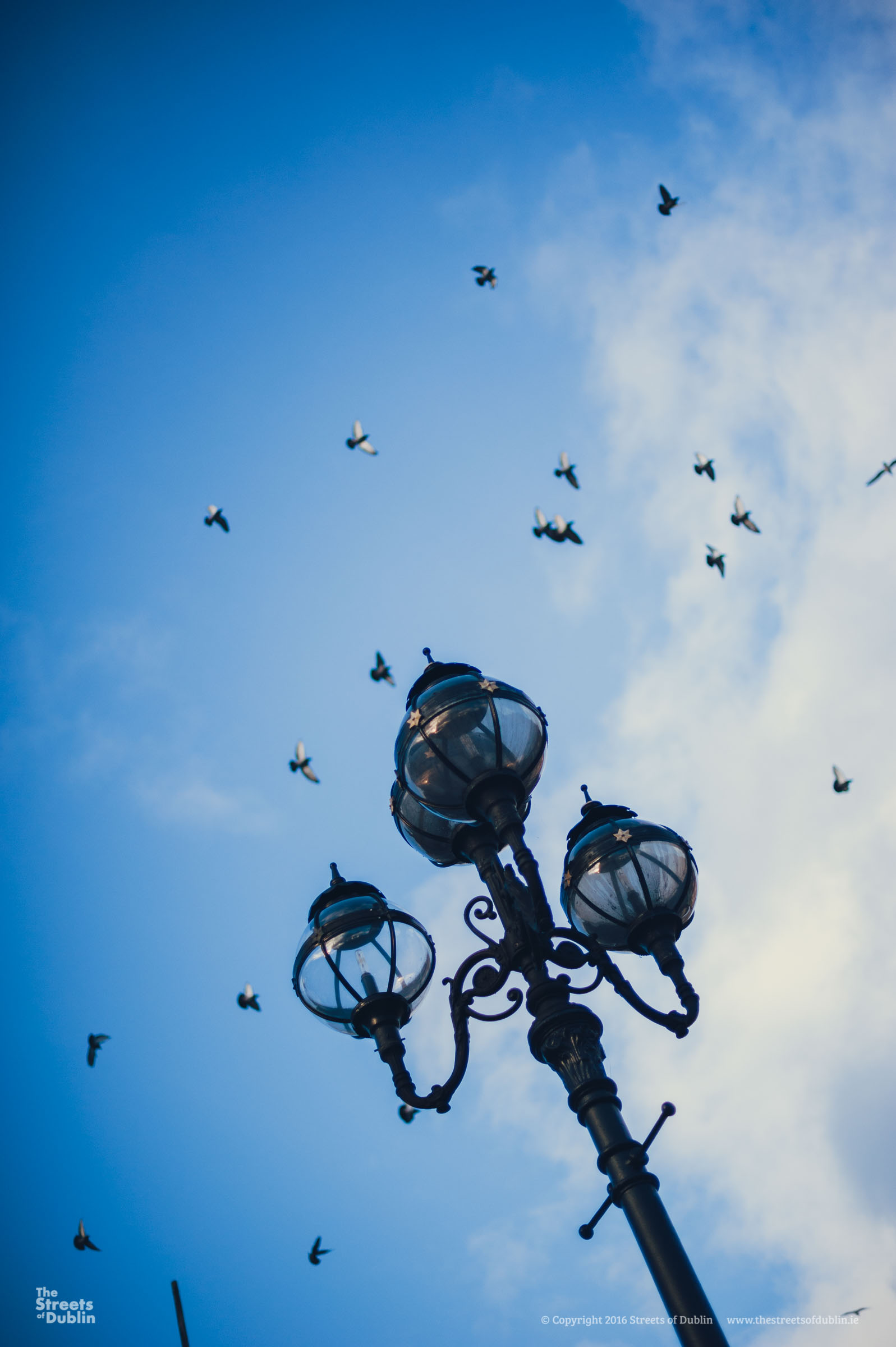 Streets-of-Dublin-Photo-2-208.jpg
