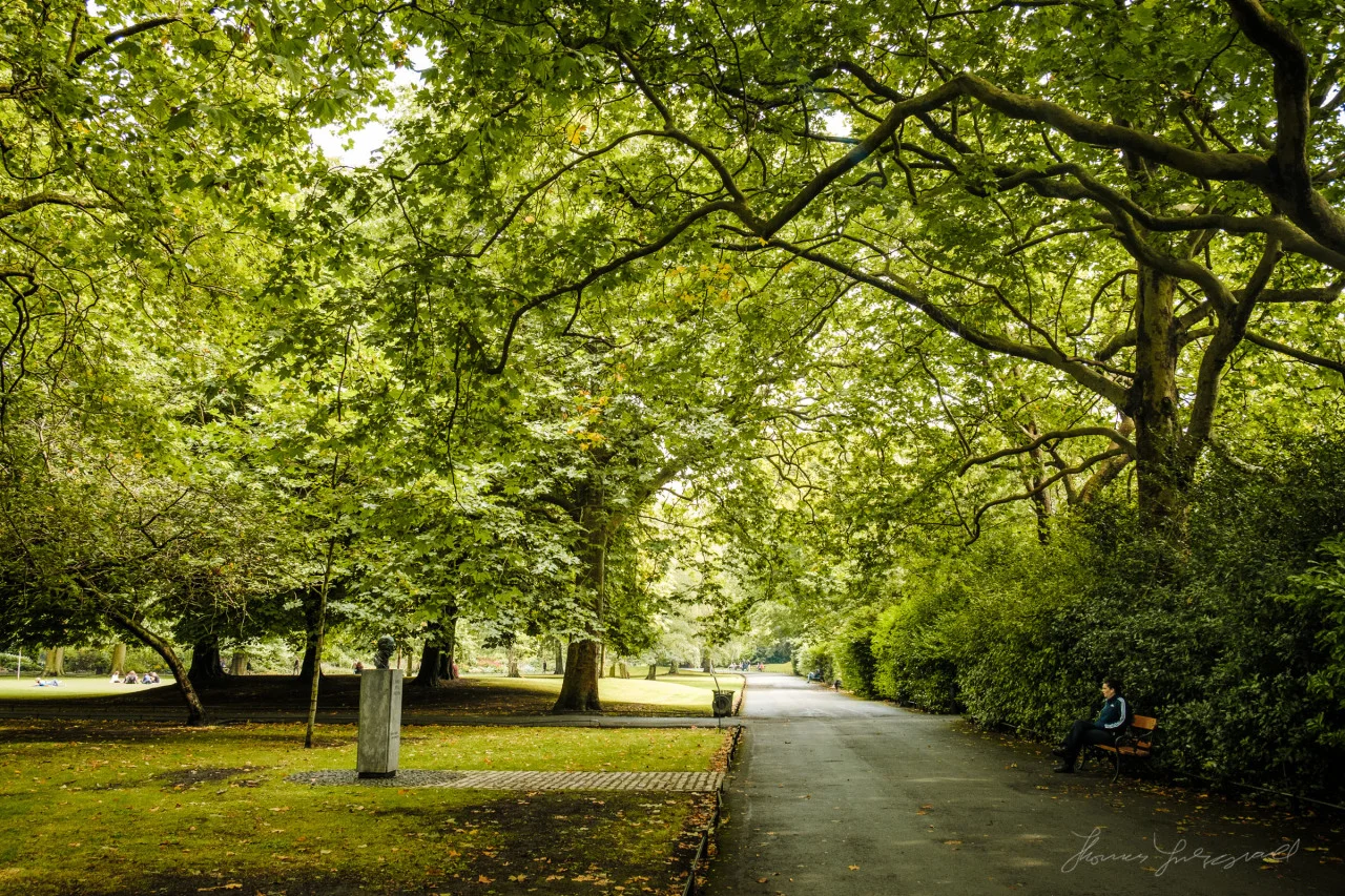 Under the canopy of changing leaves