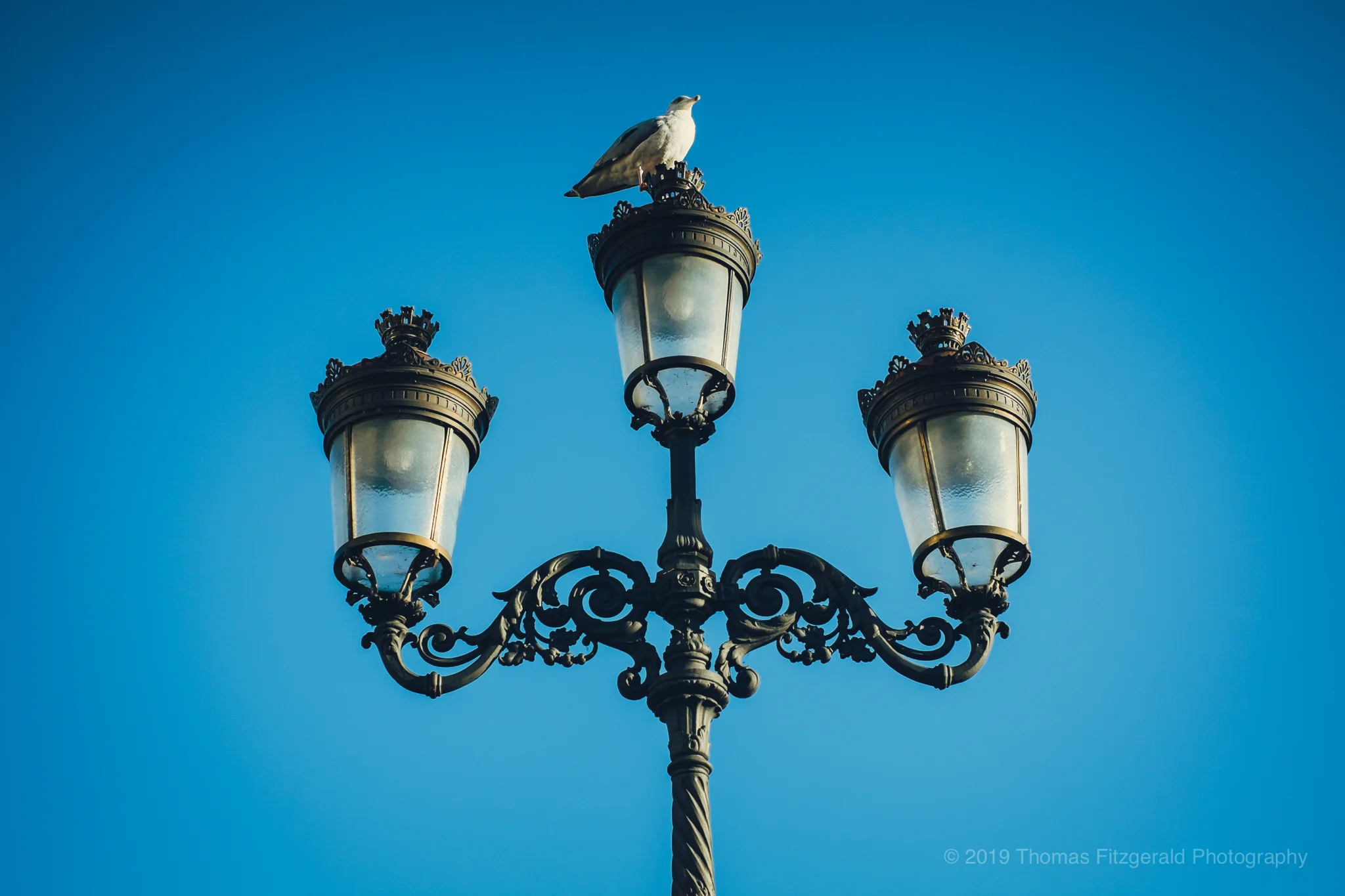DSCF6070.jpg