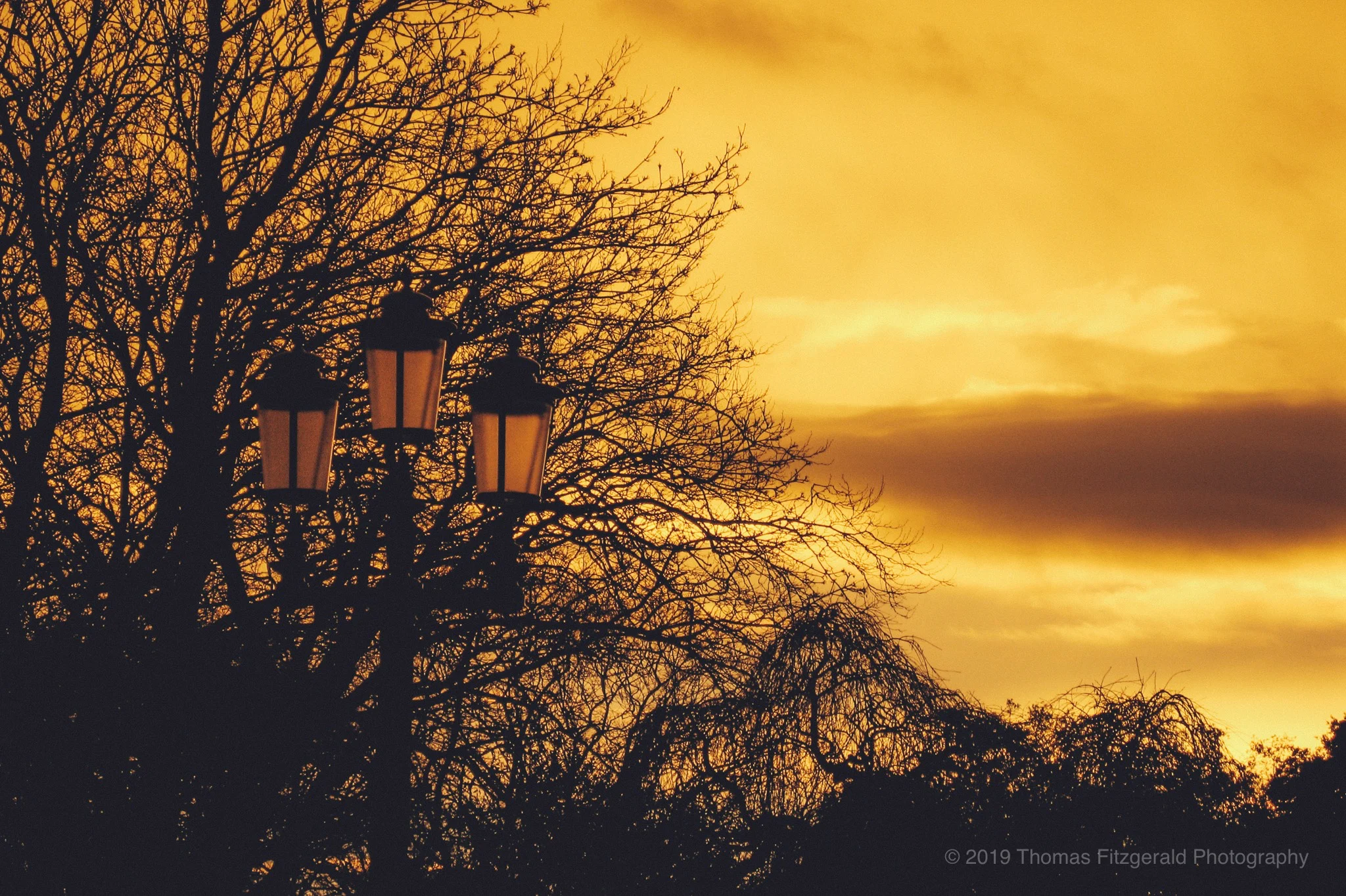 Sunset over Dublin at Stephen's Green