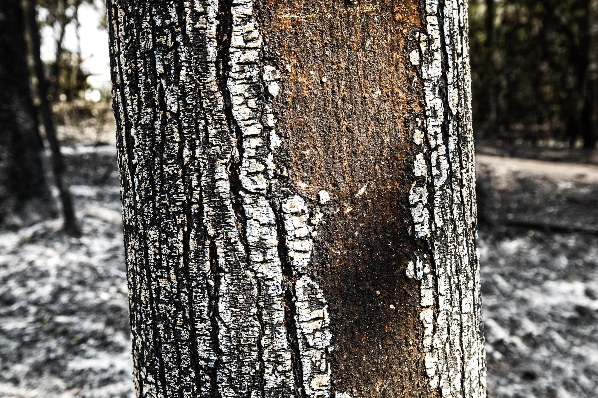 DSCF7959.jpg