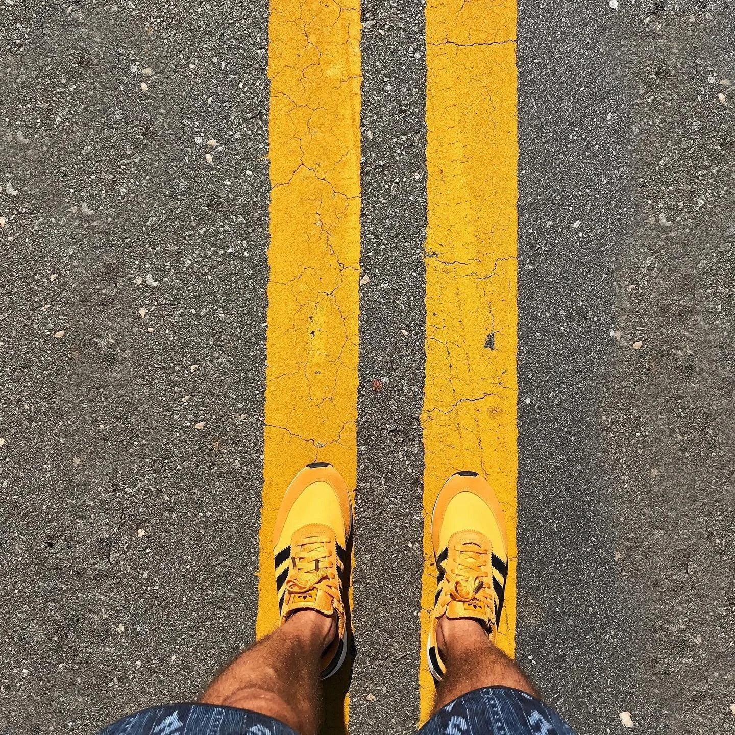 &bull; YELLOW LINES &bull;