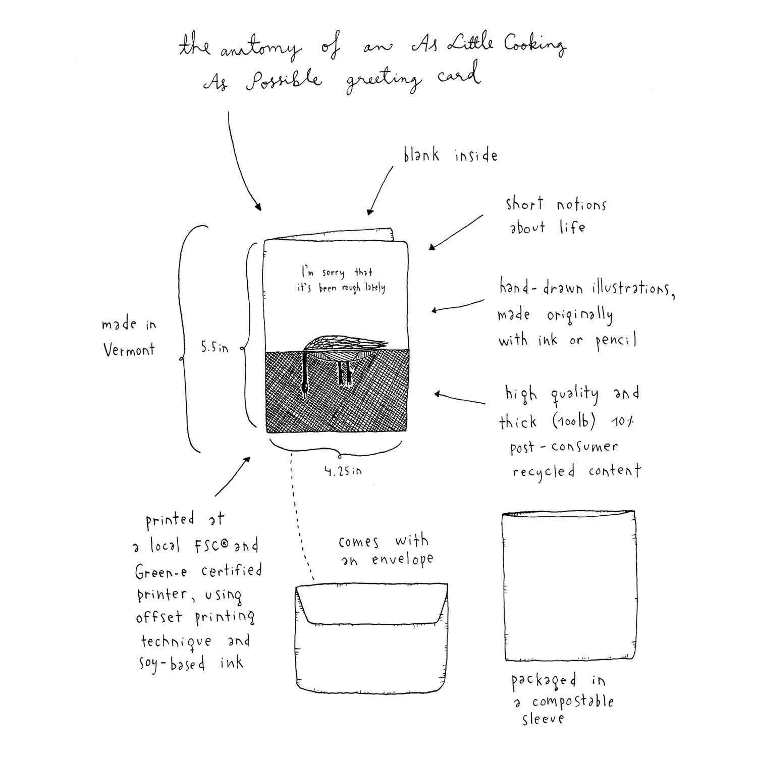 Anatomy.png