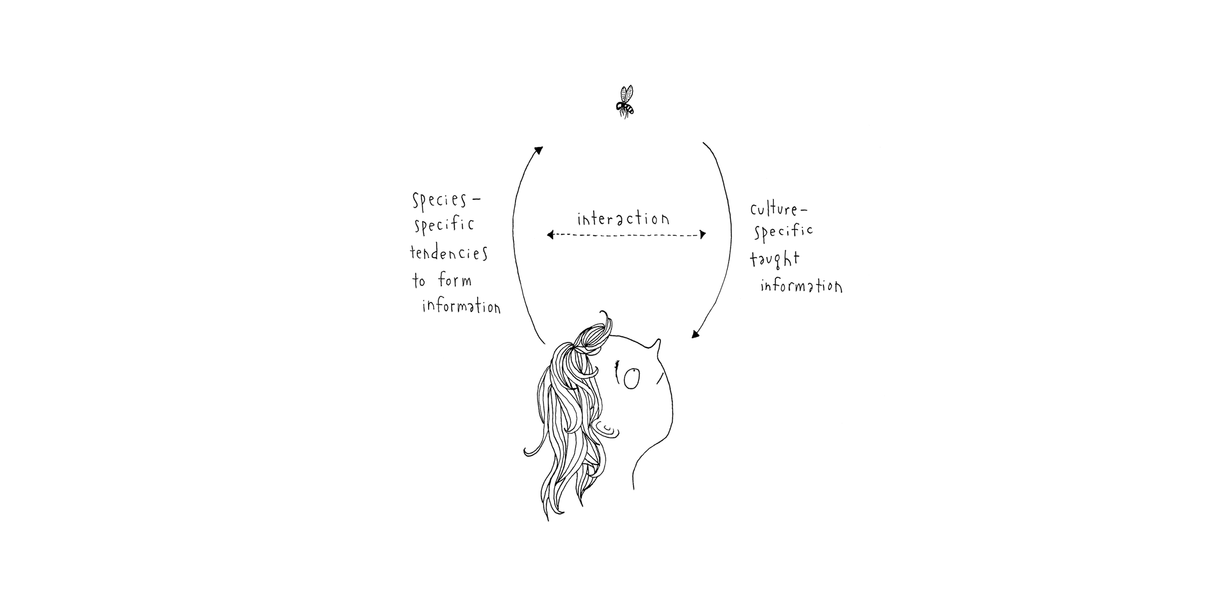 Cognition_Illustration.png