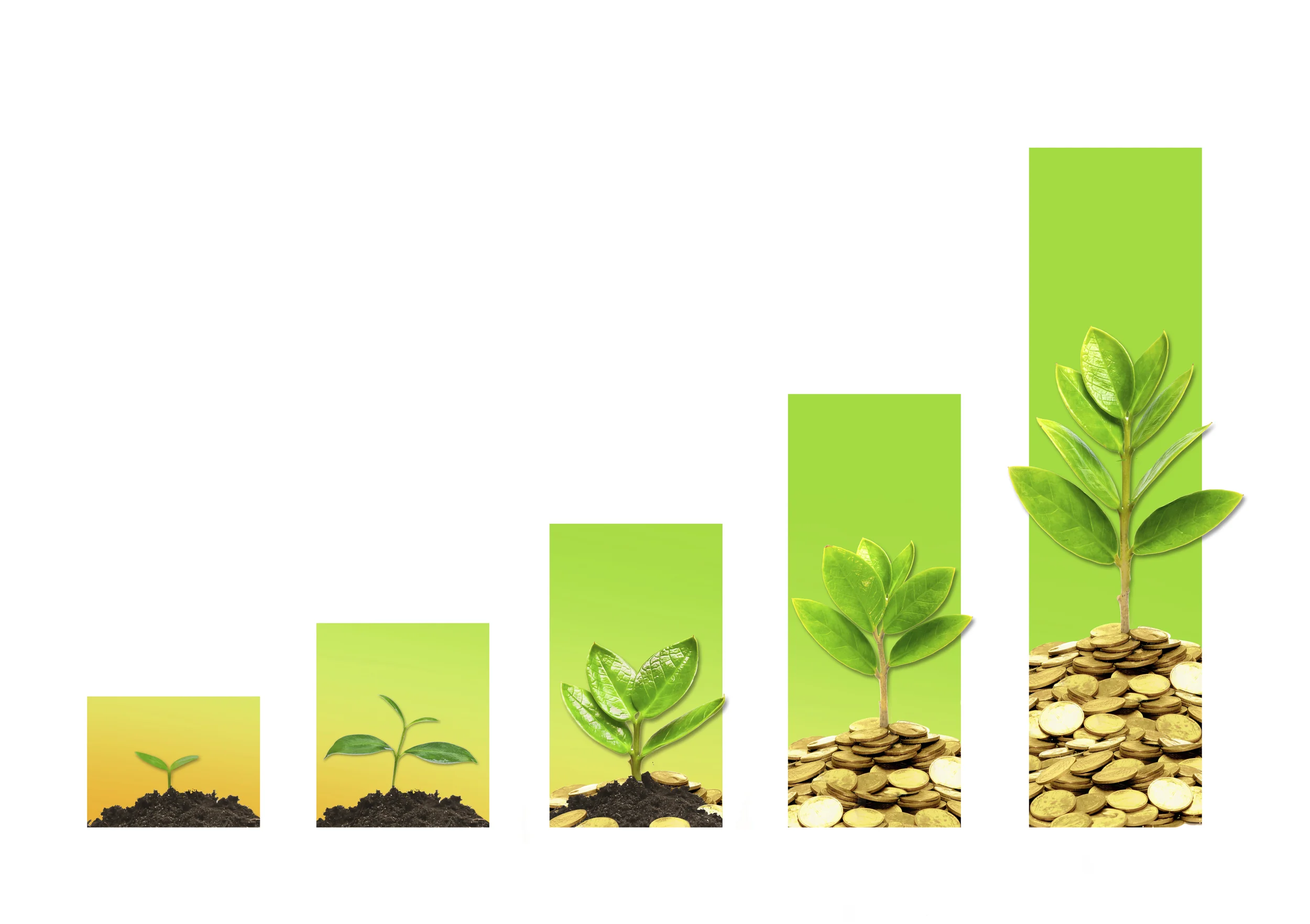 Cambridge Wealth Management Client Portal