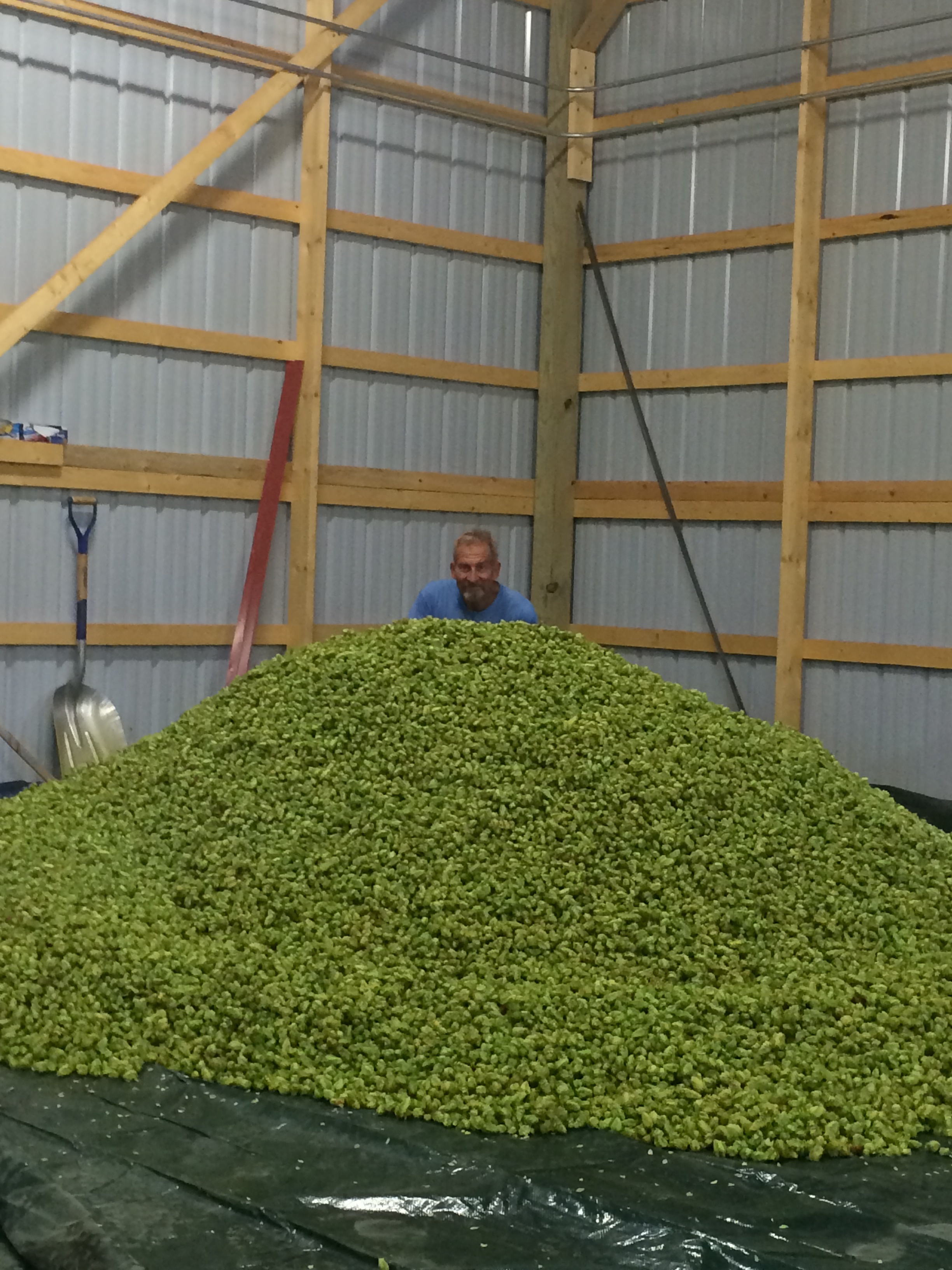 Mmmmmm, wish this was a scratch & sniff photo so you could smell what I'm smelling! 