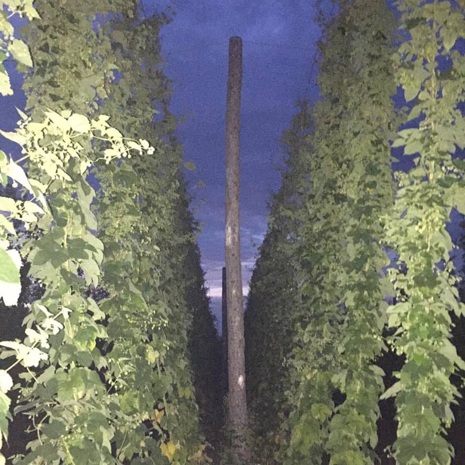 July 2016 ~ A view from the inside looking out.
