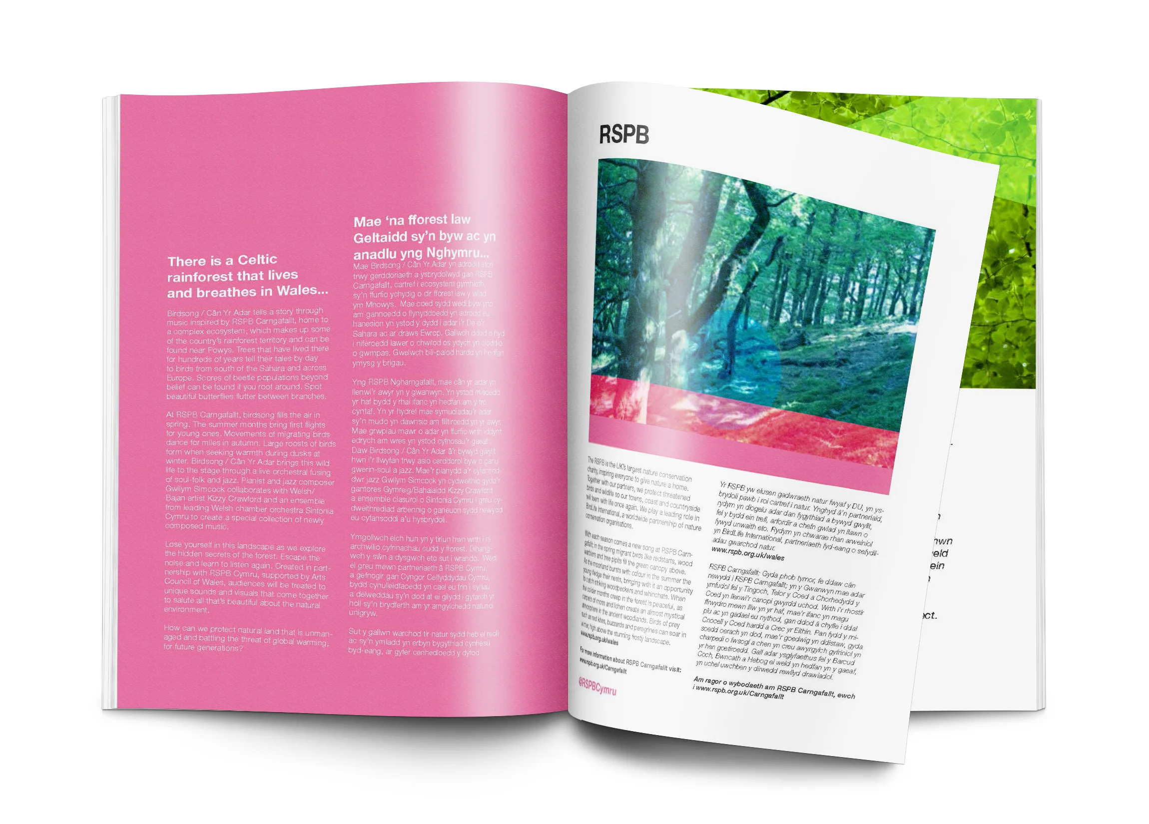 Birdsong Mag Mock Up.jpg