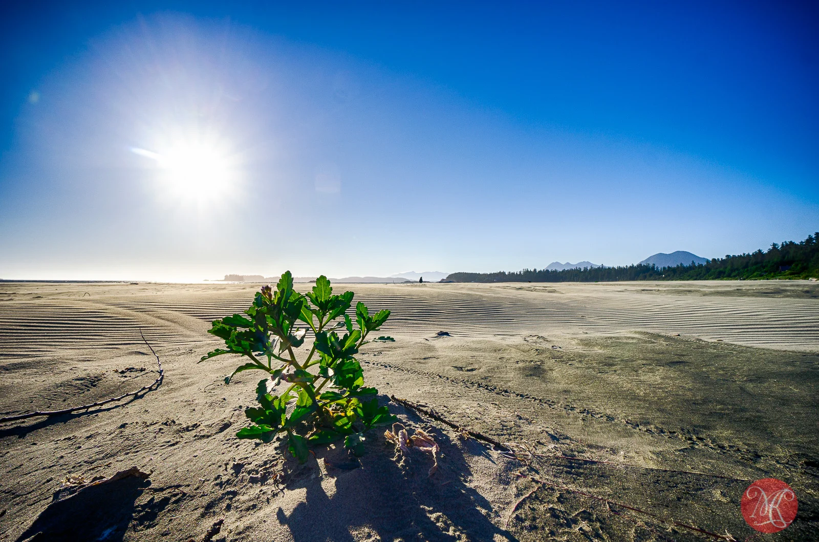Long Beach Landscape Photography — MiKSMedia Photography